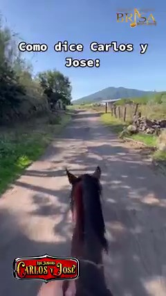 2.1M views · 62K reactions | Buenos y frescos días familia, ¡Que bonitas canciones verdad de Dios!... ¿A poco no?.... #ElVinoyLaParranda #CarlosyJoseJr BRISA MUSIC #YQueSigaLaMataDando | Carlos y Jose Jr | Facebook