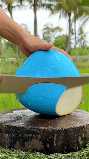 Cool Blue-Tone Coconut