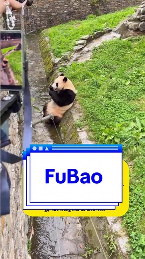 FuBao nhặt miếng nhựa Len Hood máy ảnh khi chơi