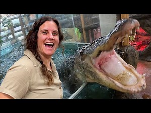 Giant lizard vs salmon 😅