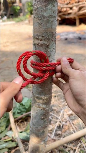 Constrictor Knot!