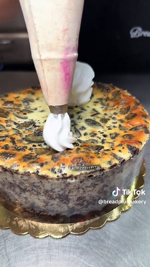 Oreo Cheesecake Recipe: Cookies and Cream Delight