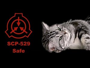 SCP-529: Josie the Half-Cat