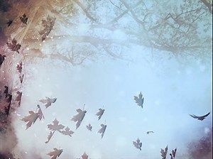 Fall 5 Loop Vol 5 | Hyper Pixels Media | WorshipHouse Media