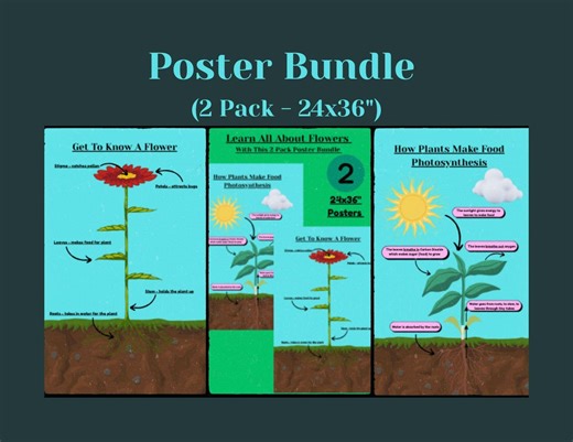 Plant Science Posters | Flower Parts, Photosynthesis Anchor Charts (24x36" Digital Download) - Etsy