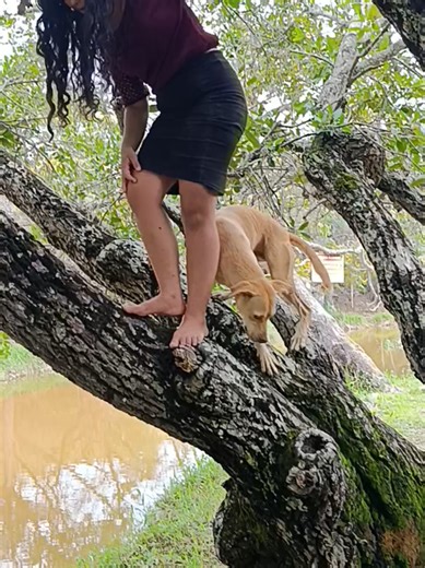 será o que ele quer comigo