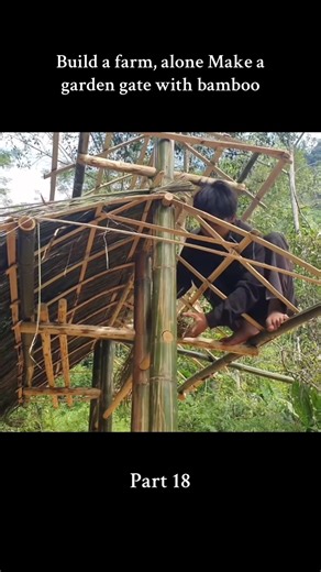 MsMay Survival sur TikTok