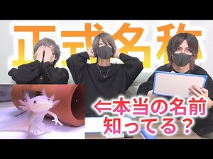 【本名】身近な物の本当の名前、ちゃんと知ってる？正式名称クイズ！