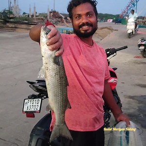 2.6M views · 10K reactions | Traditional Cast Net fishing Catching Big lot of Mullet fishes | Kadal mariyan- fishing | Facebook