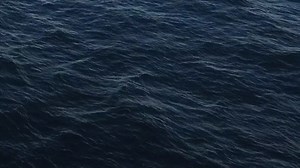 13K views · 476 reactions | You never know what you might see when flying your drone over the ocean. Credit: @aerialvistaphotography https://imgur.com/gallery/qwWp3 | Imgur | Facebook