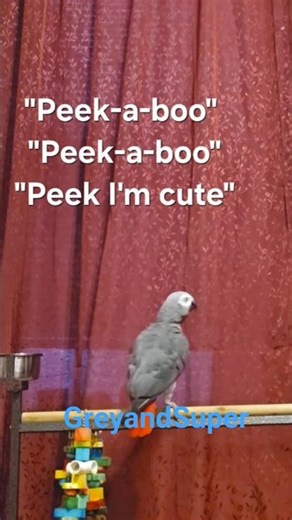 "I'm cute, I'm sorry, I'm the baby"