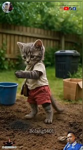 Falling Coconuts! Luna has a lump on her head 😭🐾🥥 😭🐾 When Luna got hurt by a falling coconut 🥥, her brother felt very guilty and tried to comfort her. Watch how Luna works hard and her brother struggles to help her heal. This heartwarming story will touch and inspire you! 💖🙏 #Luna #CuteCats #CatStory #Heartwarming #CatLovers #AnimalLove #PetCare #FelineFriends #CatLife #CuteKitty Chanel Dubbing | Chanel Dubbing