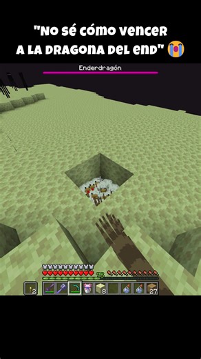 No se Como Vencer a la Dragona del End en Minecraft | CarlosCastle