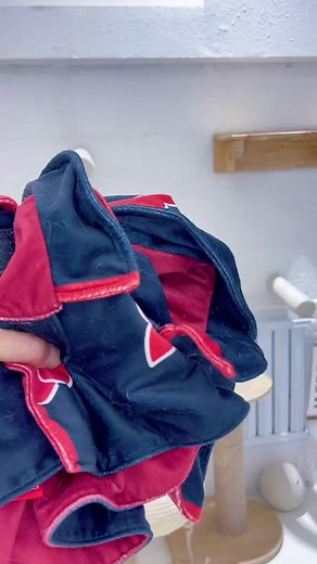 Animehouse on TikTok