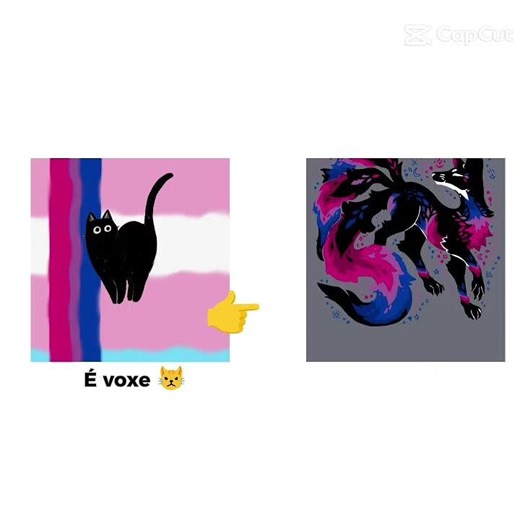 eu sou a gata velha e vc é a gata nova 🏳️‍⚧️