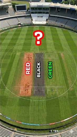 Why Do Cricket Pitches Have Different Colors? #facts #youtubeshorts