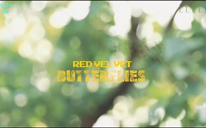 【MV】Red Velvet-Butterflies