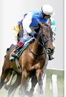 Resultat PMU d'Aujourd'hui du Quinté du Jour et Rapport Quinté, Quarté, Tiercé avec resultat-pmu.fr