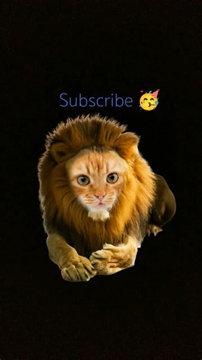 #newtrending trend#chellenge