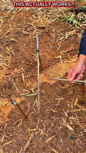 You Won’t Believe This DIY Camping Stove – No Gas, Just Genius!