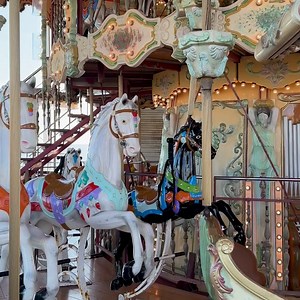 48 reactions · 8 comments | Come have a ride on our famous carousel! Situated next to Bloom Bar Blackpool and The Garden you can join us for a drink after! We’ve got entertainment all day in Bloom, The Garden and The Lounge Bar!!!  | Blackpool North Pier | Facebook