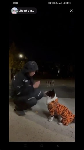 17K views · 1.1K reactions | How to train your tiger  | The Wild Dogs | Facebook