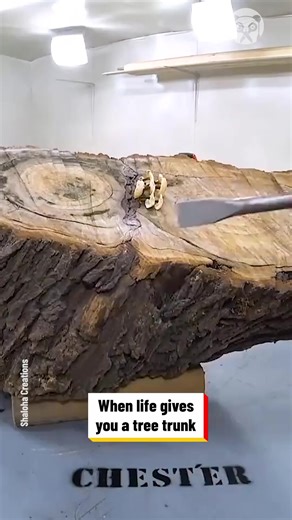 549K views · 150 reactions | Turning tree trunk into a coffee table Partner: CHEST'ER YT: https://www.youtube.com/channel/UCmRBWspht0wl5JIAbHndOKQ/featured | Lady Panda | Facebook