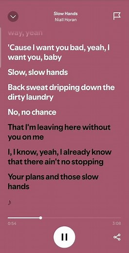 slow hands(lyrics )by Niall horan #lyrics #music #song #slowhands #niallhoran