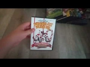 My DreamWorks Animation VHS/DVD Collection (2024)