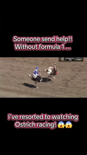 send help!! 😱😱 #f1 #f1offseason #f1fans #f1struggles #sendhelp #ostrichracing