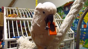 THE PROBLEM WITH REWARDS The problem with rewards is that they are not necessarily reinforcers. Reinforcers are behavior strengthening consequences, by definition. Reinforcers provide the feedback we need to use our behavior effectively. Rewards may be gifts, accolades, or recognition, but they may not strengthen specific behaviors. Let’s not lose this important nuance when we exchange our professional terminology for so-called “common speech.” Isn’t it time for the exact meaning of positive rei