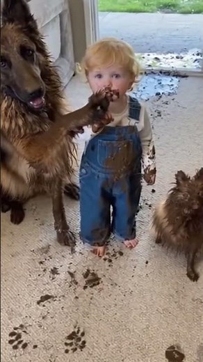 Who’s Really Guilty? 🤣🐕😂 The Funniest Pet Moment | AI Video