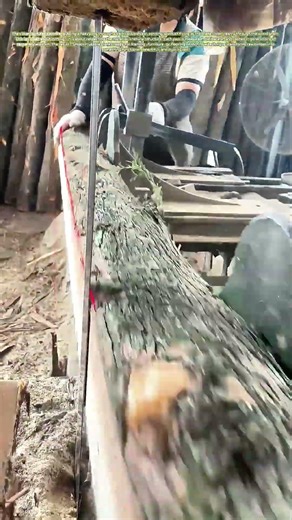 Cutting with Purpose: How Precision Sawing Turns Logs into Building Blocks