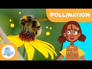 What is POLLINATION? 🐝 🌼 Pollination for Kids 🍓 - Videos For Kids