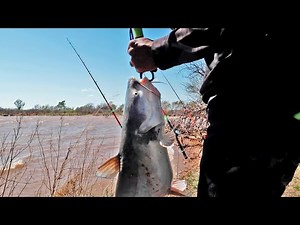 Springtime Blue Catfish! (Bank Fishing)