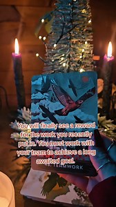 2.7K views · 209 reactions | ✨️ May all the blessings of this reading find you #tarotcommunity #collectivereading #tarotreading #oracle #tarot | Healing Hands Apothecary | Facebook