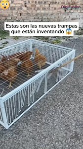 Mira que increíble #Entretenimiento #inventos #herramientas | DigiFusion