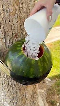 Easy summer treat #food #recipe #sweet #family #summer #fun