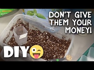 Best Homemade Seed Starting Potting Mix Test / Review: Miracle Gro, Espoma, Simple Organic DIY