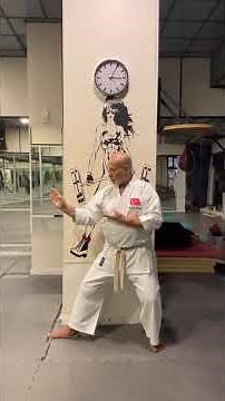 Kokutsu Dachi, one of the basic technical stances in Karate-do: What is it and what isn't it? Tur...