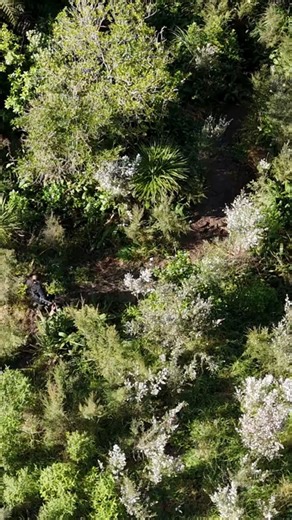 2.1K views · 45 reactions | This Te Wiki o Te Taiao / Conservation...