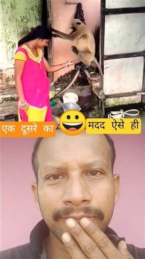 the monkey magic 🙈 trailer 2025