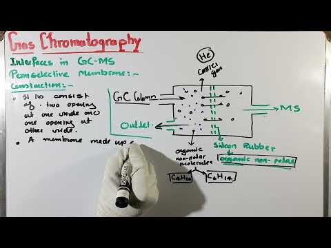 Part-3. Interfaces in GC-MS | permselective membrane | Gas chromatography