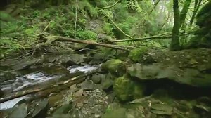 "The Morning Dew" by The Chieftains Irish tradition. Modern Twist. What more could you want? Get tickets to their performance in March here: https://bit.ly/2KIVA0D | Wisconsin Union Theater