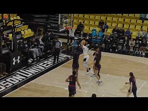 Full Highlights | Towson Women's Basketball Defeats Stony Brook to Extend Win Streak