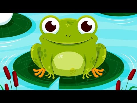 Cinco Ranitas con Manchitas 🐸 | Canción Infantil Divertida Super Simple Español Five Little Frogs