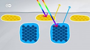 How are chameleons able to change color?