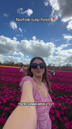 Norfolk Tulip Fields: A Dreamy Visit 🌷