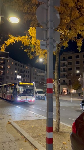 6K views · 232 reactions | Daily bus commute in Vienna Austria  #wien #vienna #austria #fblifestyle | Vienna Uncovered | Facebook