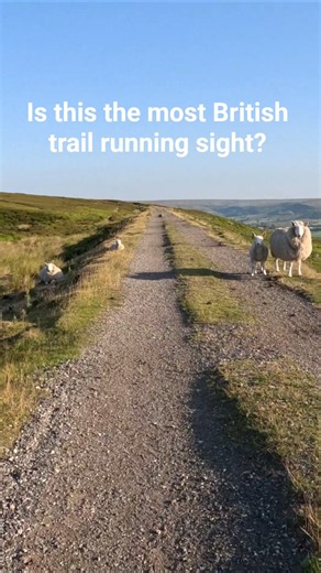 The Yorkshire dales trails and its hugely recognisable sheep, nice to know I wasn't alone on my run!